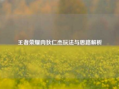 王者荣耀肉狄仁杰玩法与思路解析