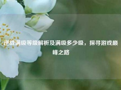 逆战满级等级解析及满级多少级，探寻游戏巅峰之路