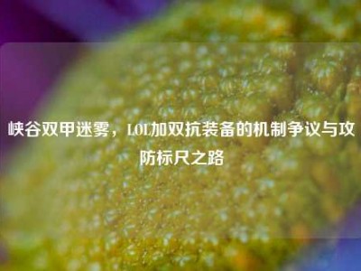 峡谷双甲迷雾，LOL加双抗装备的机制争议与攻防标尺之路