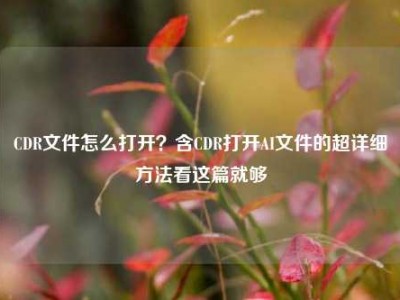 CDR文件怎么打开？含CDR打开AI文件的超详细方法看这篇就够
