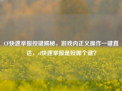 CF快速举报按键揭秘，游戏内正义操作一键直达，cf快速举报是按哪个键？