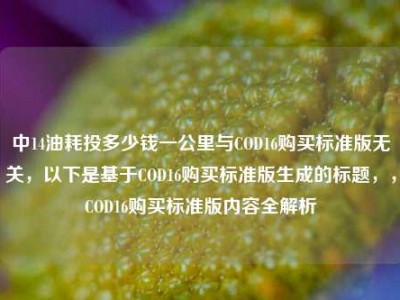 中14油耗投多少钱一公里与COD16购买标准版无关，以下是基于COD16购买标准版生成的标题，，COD16购买标准版内容全解析