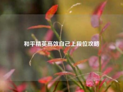 和平精英高效自己上段位攻略