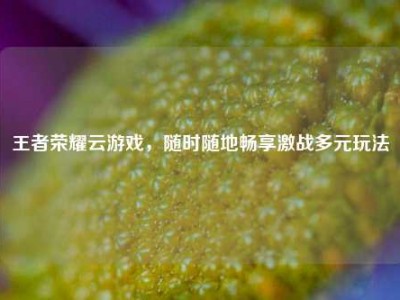 王者荣耀云游戏，随时随地畅享激战多元玩法