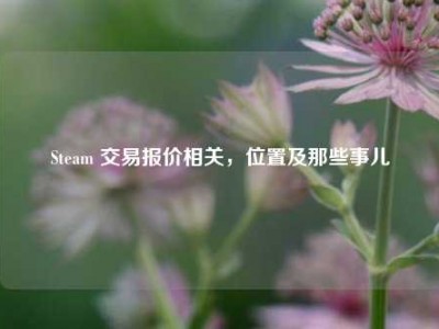 Steam 交易报价相关，位置及那些事儿