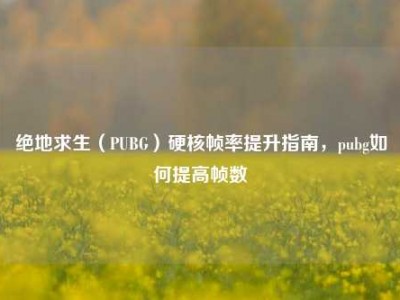 绝地求生（PUBG）硬核帧率提升指南，pubg如何提高帧数