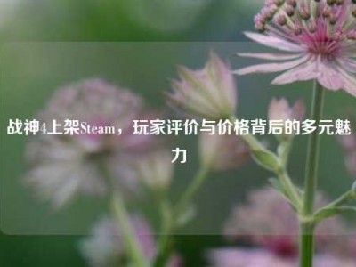 战神4上架Steam，玩家评价与价格背后的多元魅力