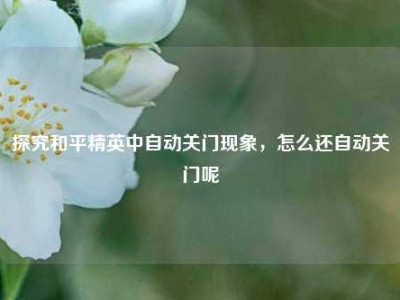 探究和平精英中自动关门现象，怎么还自动关门呢