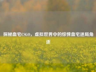 探秘血宅CSGO，虚拟世界中的惊悚血宅迷局角逐