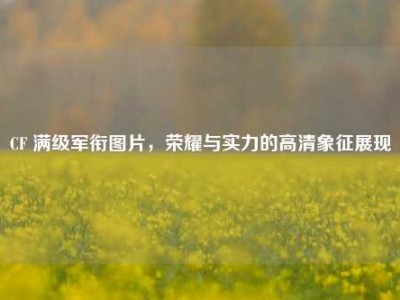 CF 满级军衔图片，荣耀与实力的高清象征展现