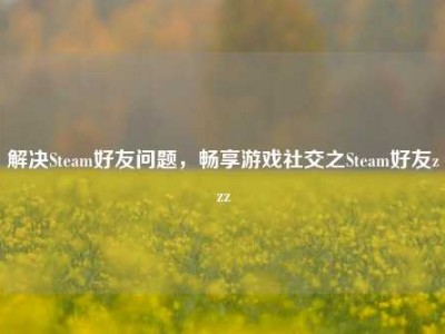 解决Steam好友问题，畅享游戏社交之Steam好友zzz