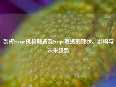 剖析Steam机构融资及Stripe融资的现状、影响与未来趋势