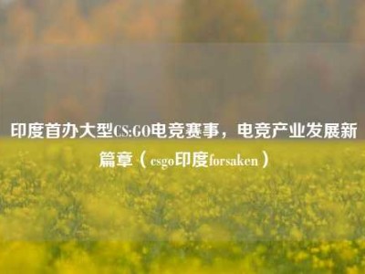 印度首办大型CS:GO电竞赛事，电竞产业发展新篇章（csgo印度forsaken）