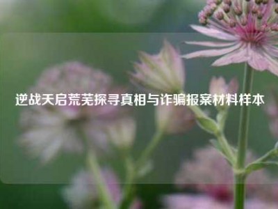 逆战天启荒芜探寻真相与诈骗报案材料样本