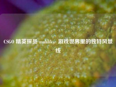 CSGO 精英探员 muhlik，游戏世界里的独特风景线