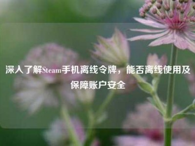深入了解Steam手机离线令牌，能否离线使用及保障账户安全