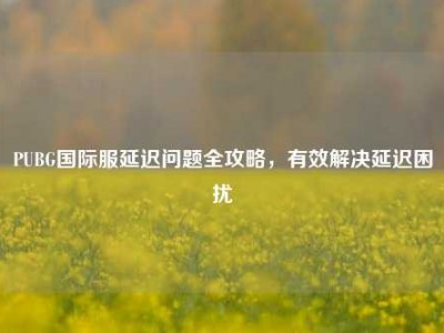 PUBG国际服延迟问题全攻略，有效解决延迟困扰