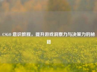 CSGO 意识教程，提升游戏洞察力与决策力的秘籍