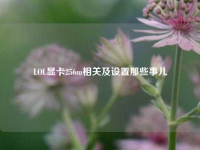 LOL显卡256m相关及设置那些事儿