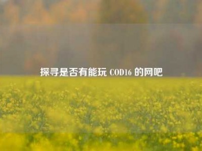探寻是否有能玩 COD16 的网吧