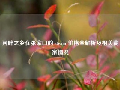 河畔之乡在张家口的 steam 价格全解析及相关商家情况