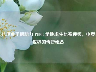 八爪鱼手柄助力 PUBG 绝地求生比赛视频，电竞世界的奇妙组合