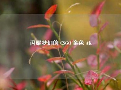 闪耀梦幻的 CSGO 金色 AK