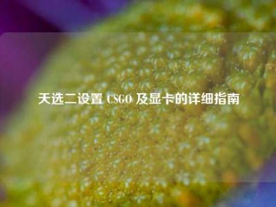 天选二设置 CSGO 及显卡的详细指南