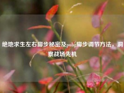 绝地求生左右脚步秘密及pubg脚步调节方法，洞察战场先机
