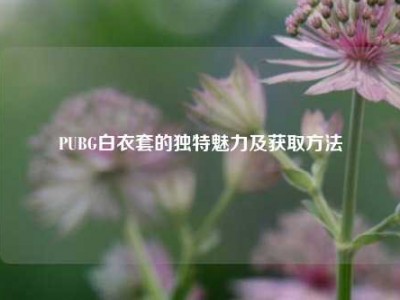 PUBG白衣套的独特魅力及获取方法