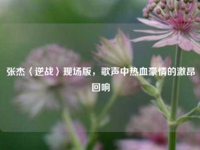 张杰〈逆战〉现场版，歌声中热血豪情的激昂回响