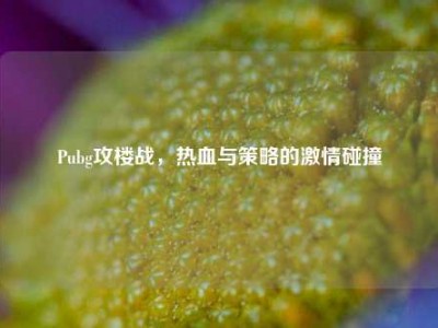 Pubg攻楼战，热血与策略的激情碰撞