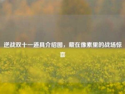 逆战双十一道具介绍图，藏在像素里的战场惊喜
