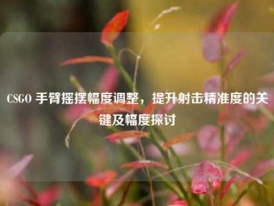 CSGO 手臂摇摆幅度调整，提升射击精准度的关键及幅度探讨