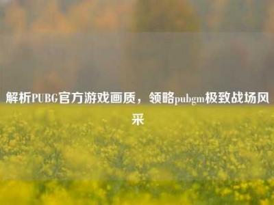 解析PUBG官方游戏画质，领略pubgm极致战场风采
