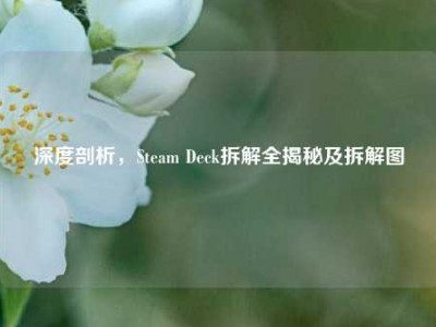 深度剖析，Steam Deck拆解全揭秘及拆解图