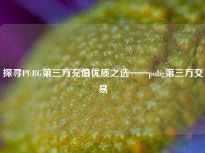 探寻PUBG第三方充值优质之选——pubg第三方交易