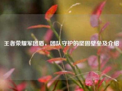 王者荣耀军团盾，团队守护的坚固壁垒及介绍