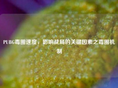 PUBG毒圈速度，影响战局的关键因素之毒圈机制