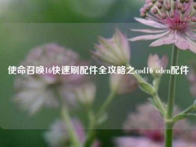 使命召唤16快速刷配件全攻略之cod16 oden配件