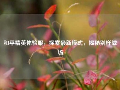 和平精英体验服，探索最新模式，揭秘别样战场