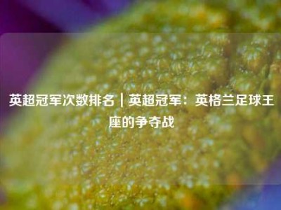 英超冠军次数排名｜英超冠军：英格兰足球王座的争夺战