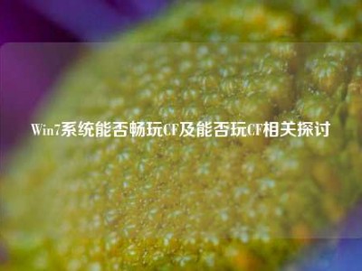 Win7系统能否畅玩CF及能否玩CF相关探讨