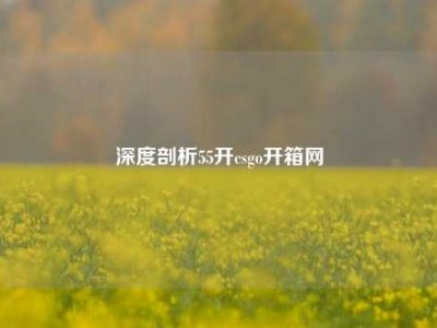深度剖析55开csgo开箱网