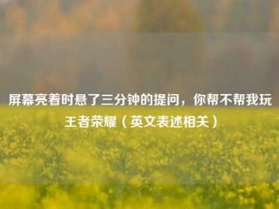 屏幕亮着时悬了三分钟的提问，你帮不帮我玩王者荣耀（英文表述相关）