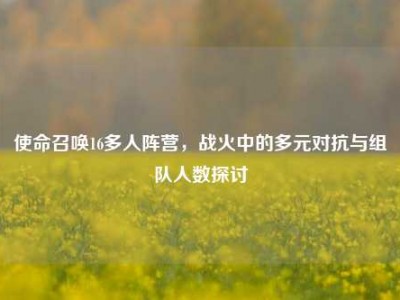 使命召唤16多人阵营，战火中的多元对抗与组队人数探讨