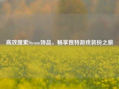 高效搜索Steam饰品，畅享独特游戏装扮之旅