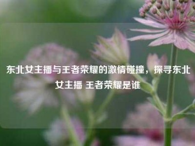东北女主播与王者荣耀的激情碰撞，探寻东北女主播 王者荣耀是谁