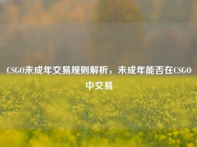 CSGO未成年交易规则解析，未成年能否在CSGO中交易