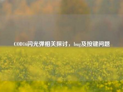COD16闪光弹相关探讨，bug及按键问题